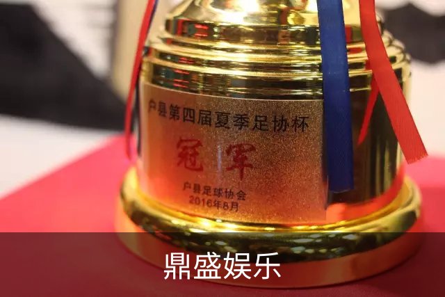 鼎盛娱乐公司介绍图